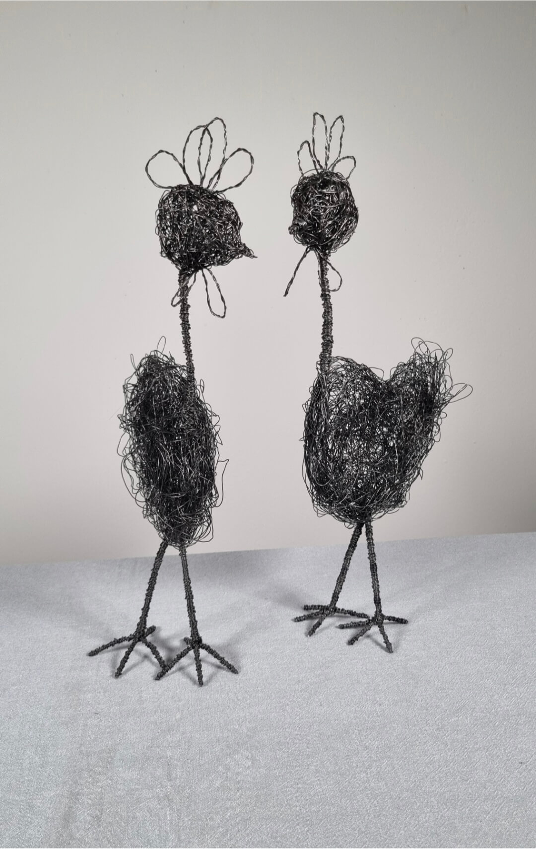 Video für Drahthuhn