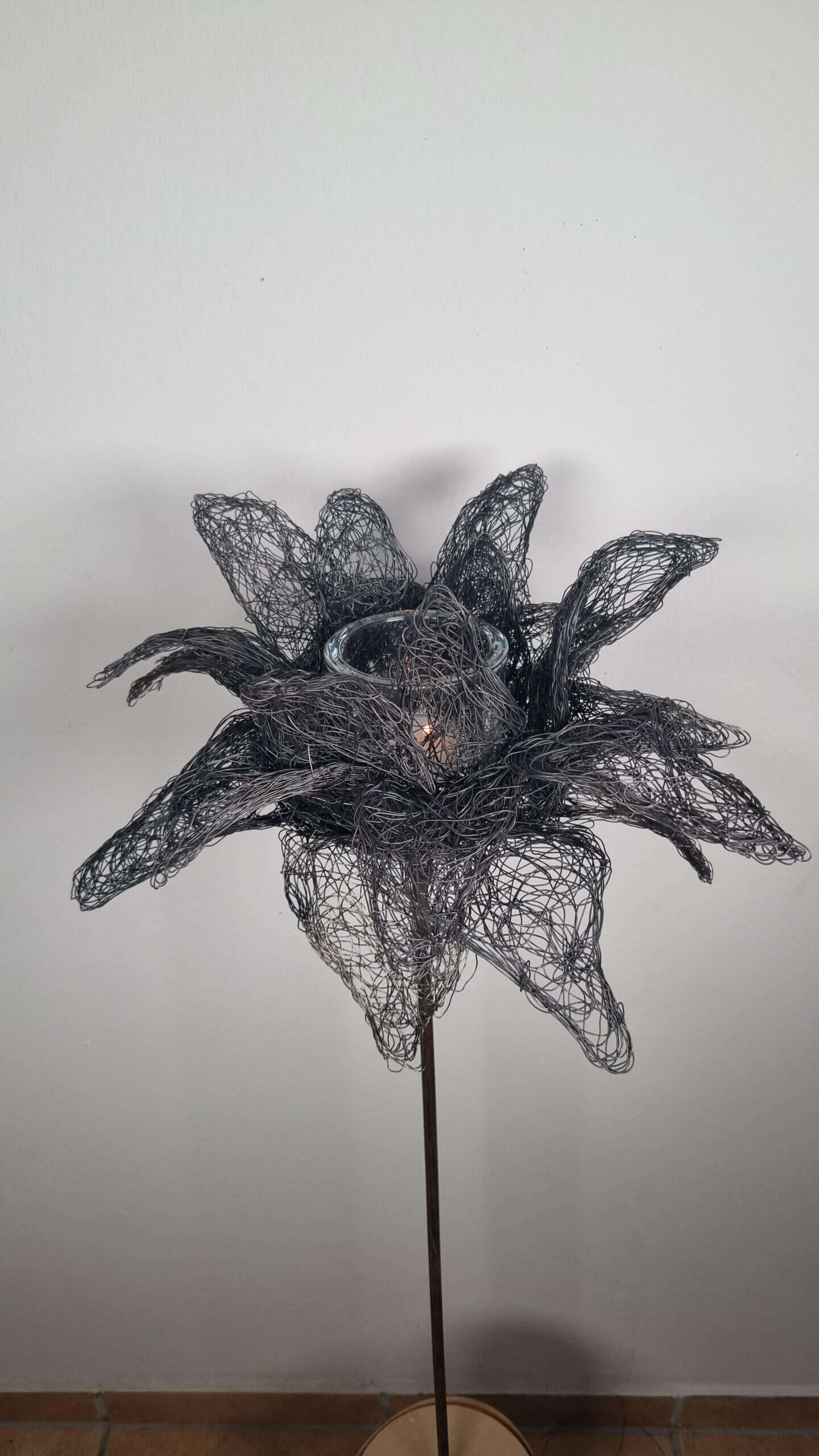 Video für Drahtblume