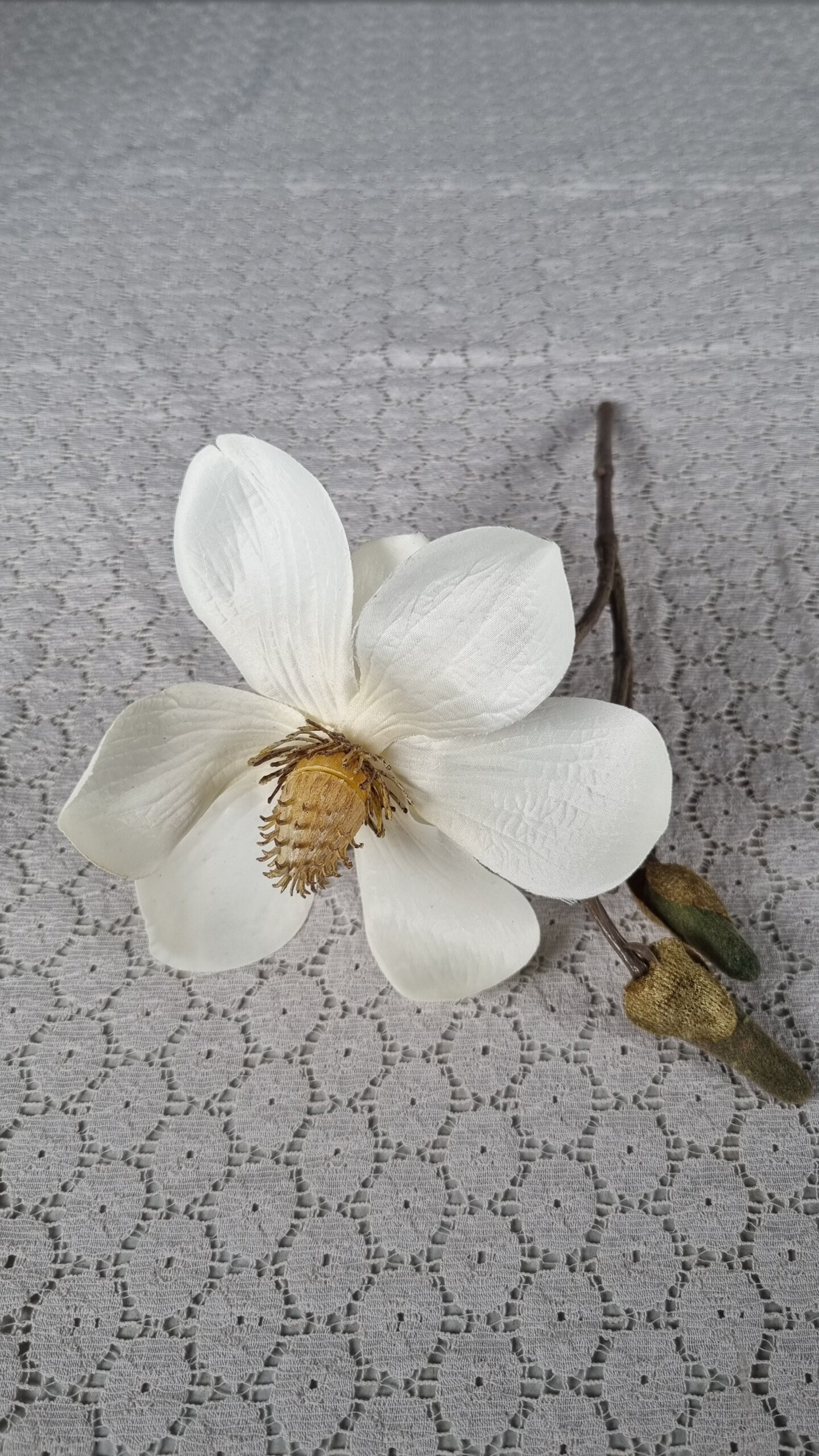 Magnolie seide L27cm, weiß – Bild 2