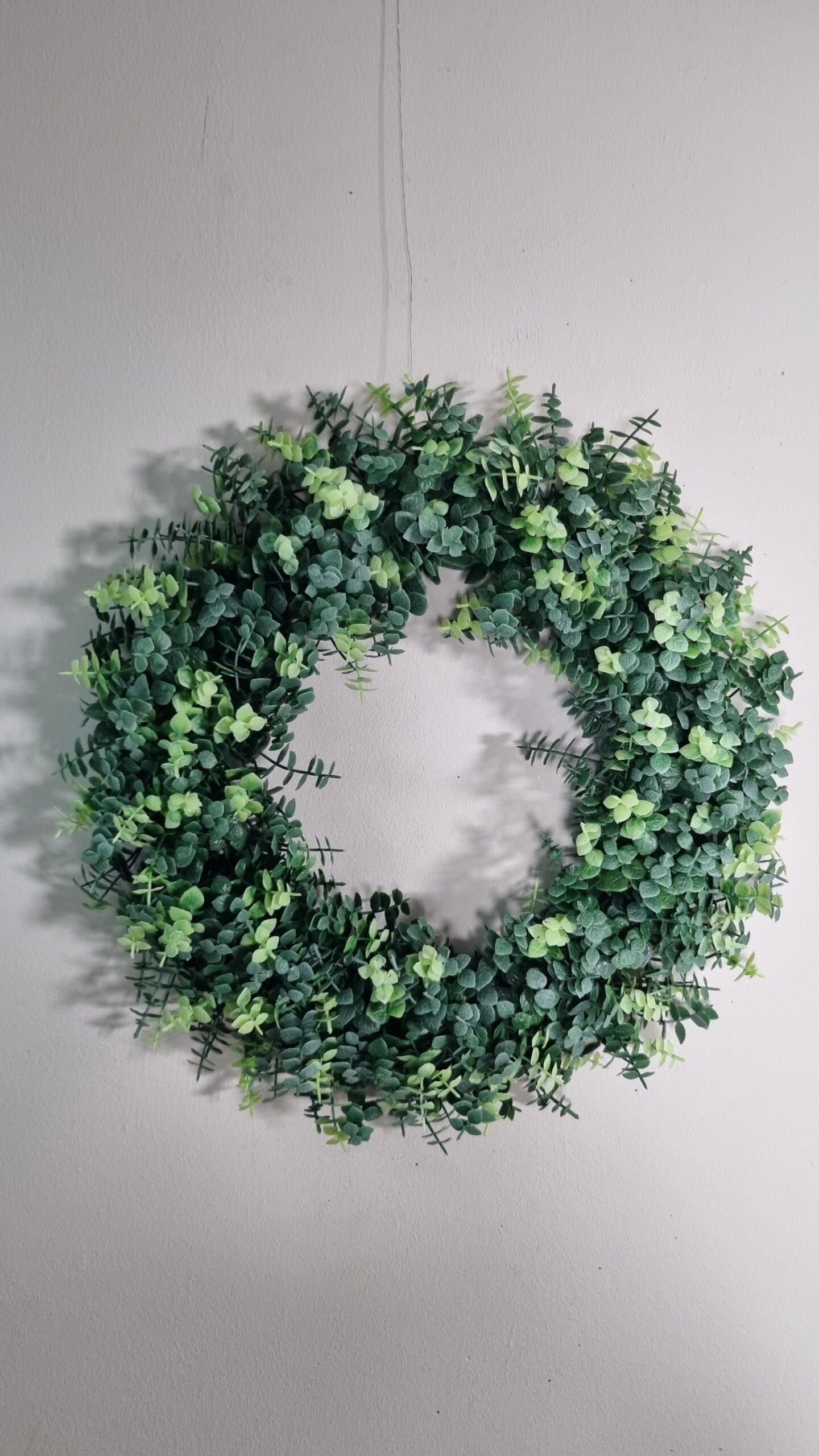 Kunst Eukalyptus Kranz D40cm, grün-weiß